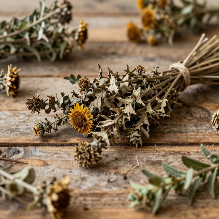 Inula