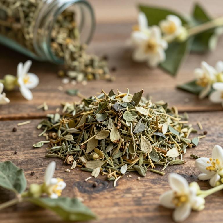 Jasminum