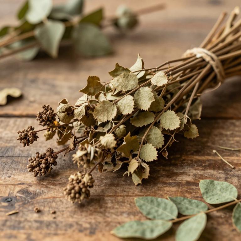 Juglans mandshurica var. cordiformis