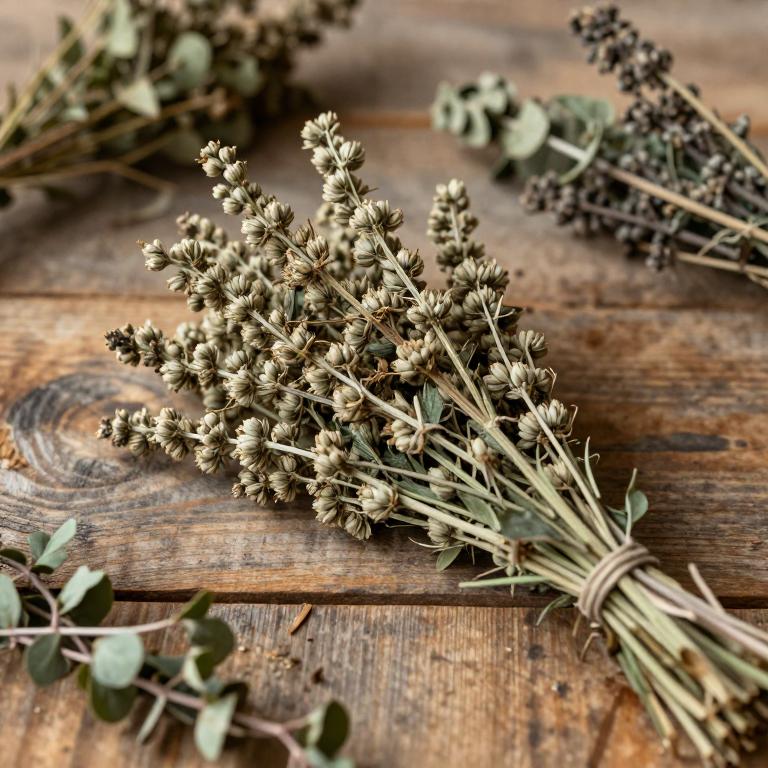Juncus conglomeratus
