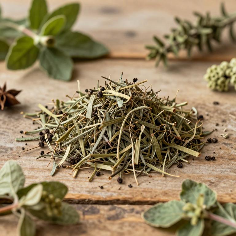 Kokoona zeylanica
