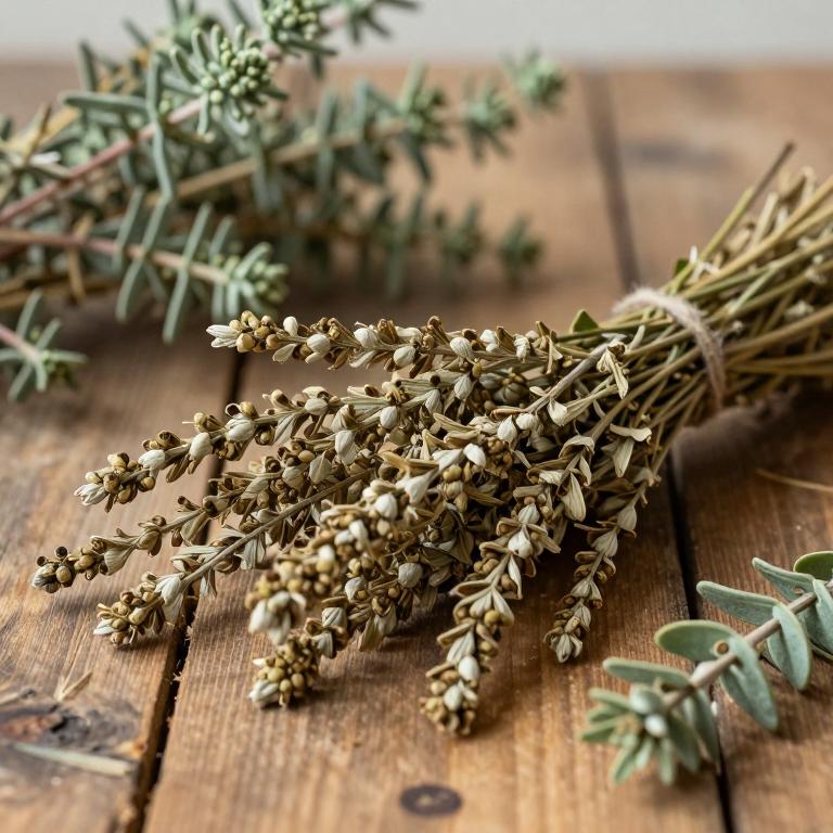 Kunzea ericoides