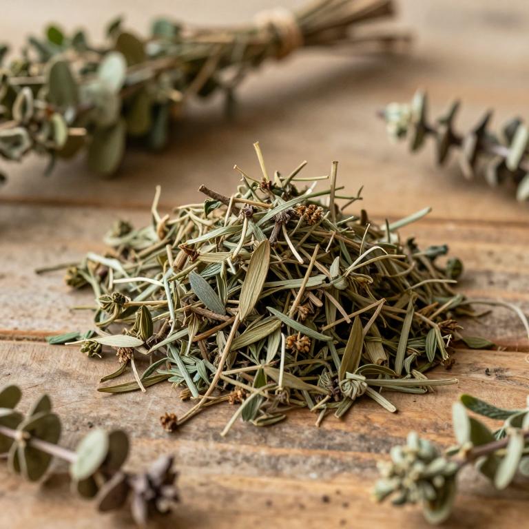 Kunzea robusta