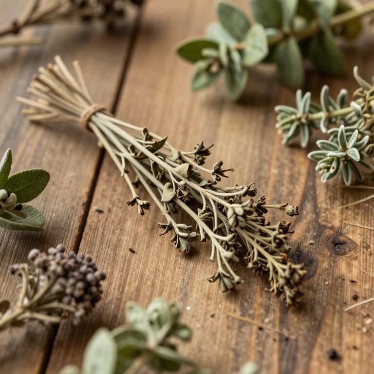 Lefebvrea grantii
