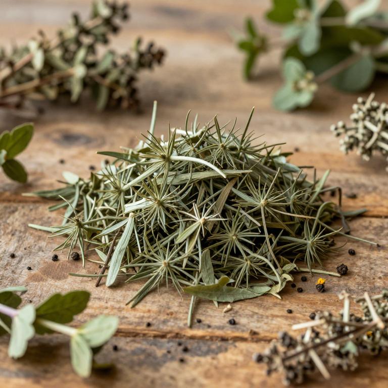 Lepidium pinnatifidum