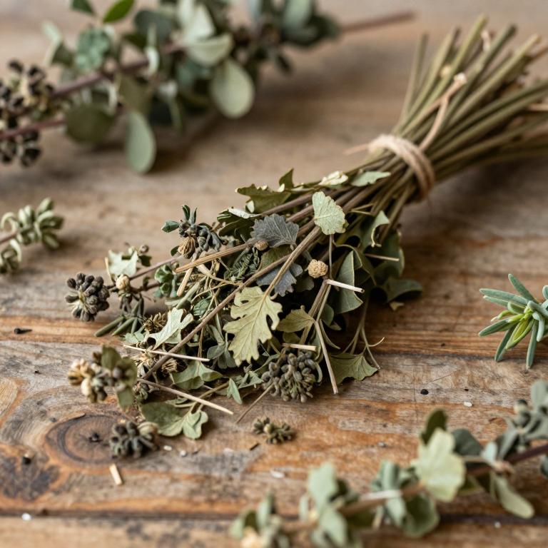 Lepidium