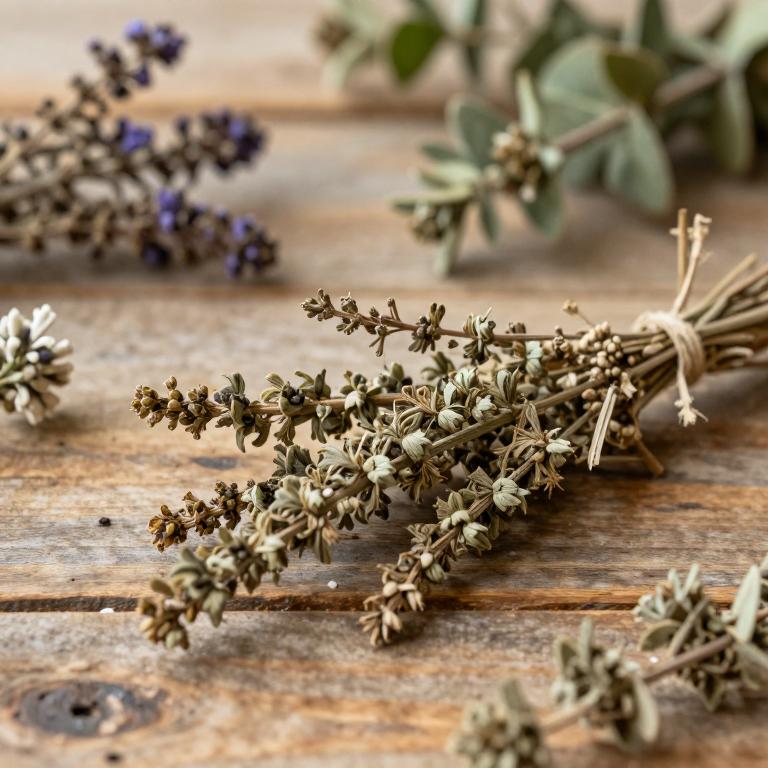 Limonium axillare