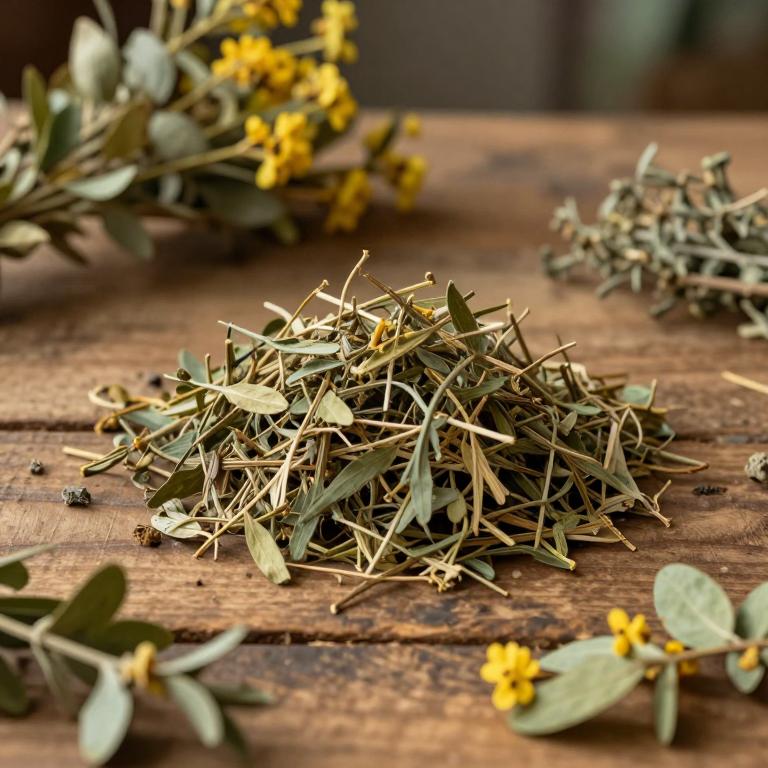 Lindera sericea
