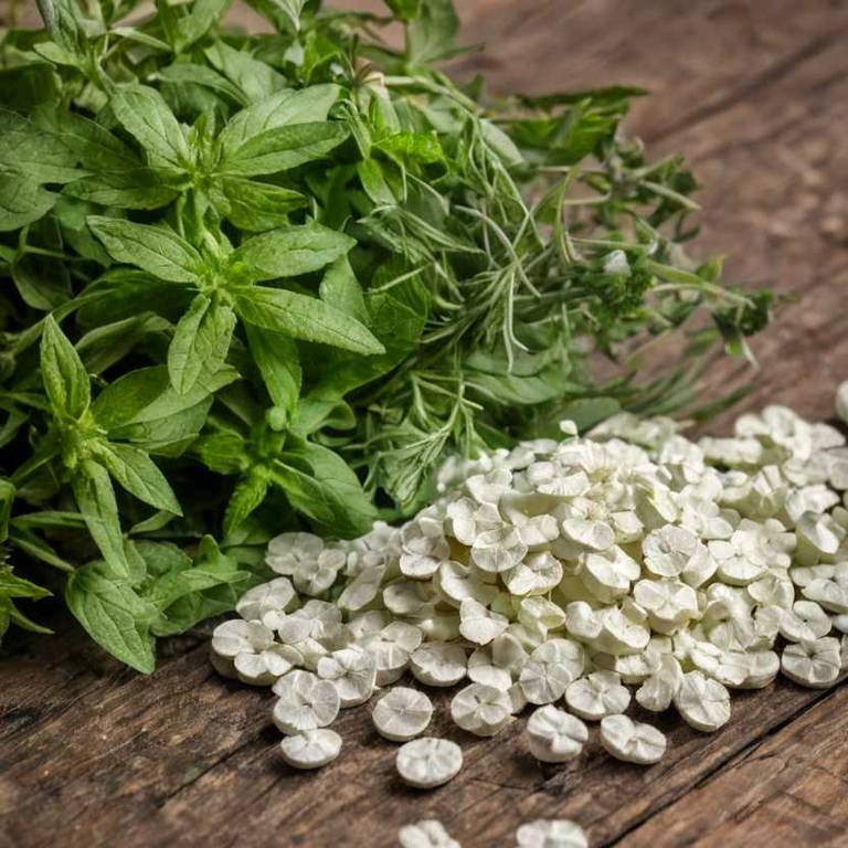 What to know about Lippia alba (lemon verbena) before using it medicinally