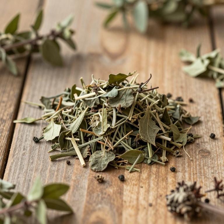 Lithospermum