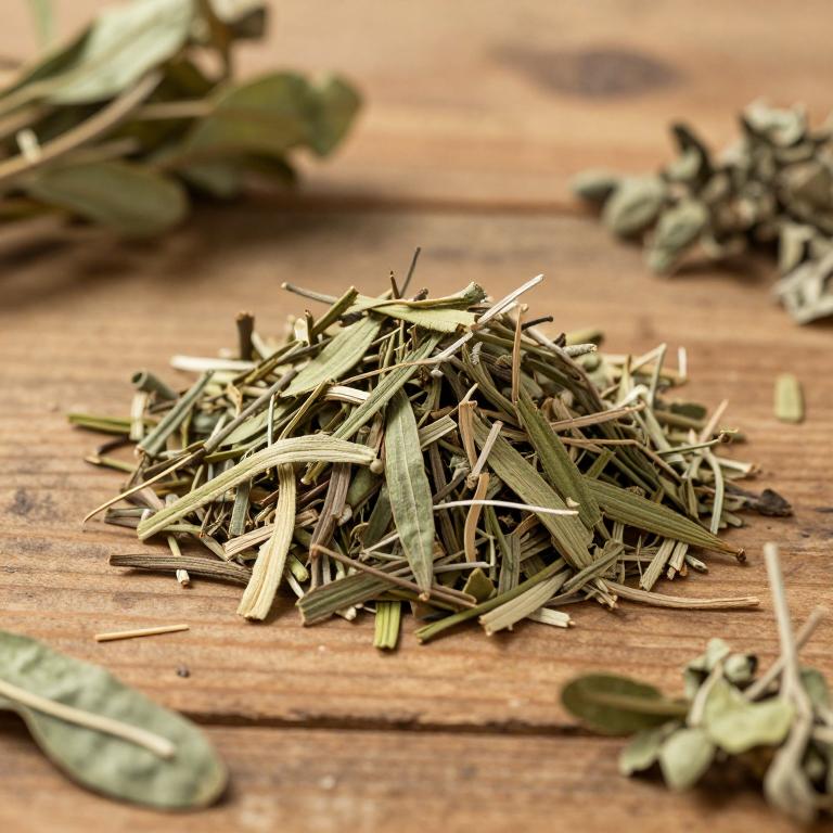 Litsea japonica