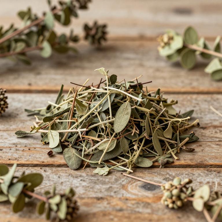 Lonchocarpus heptaphyllus