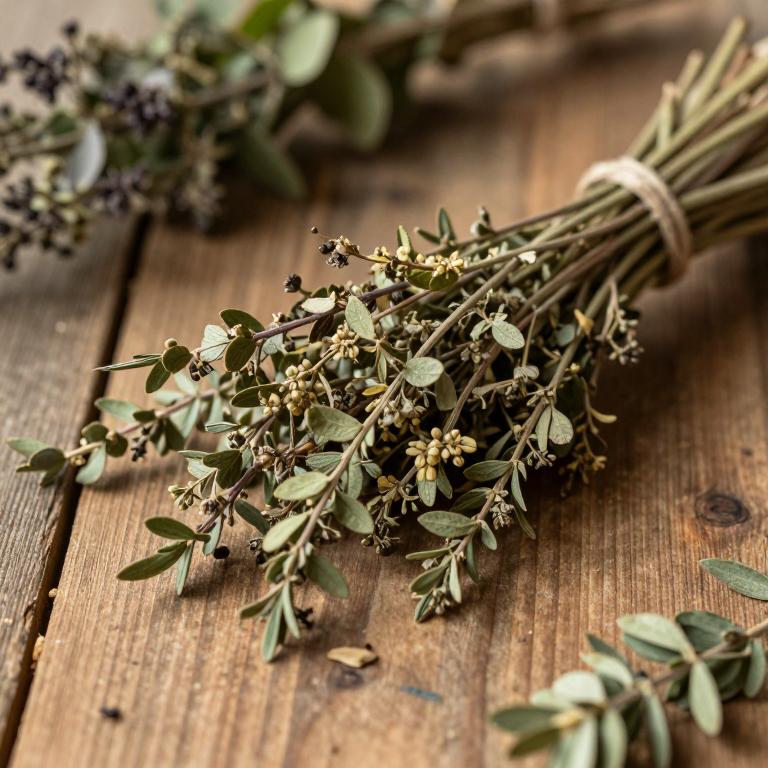 Lonicera caerulea subsp. altaica