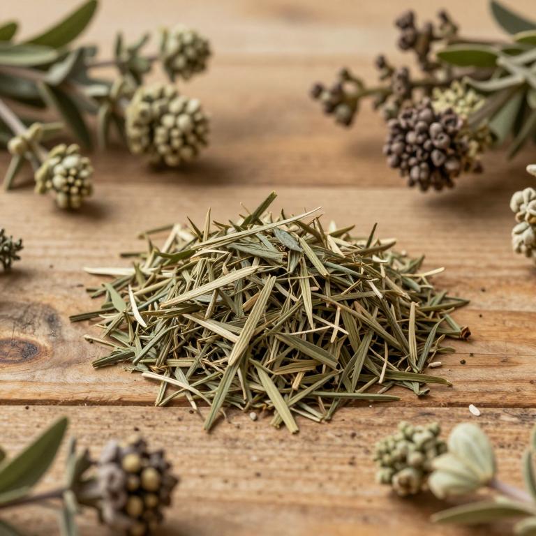 Marrubium cuneatum