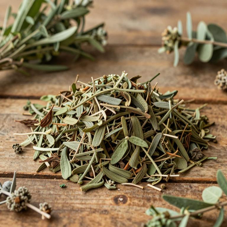 Melaleuca quinquenervia