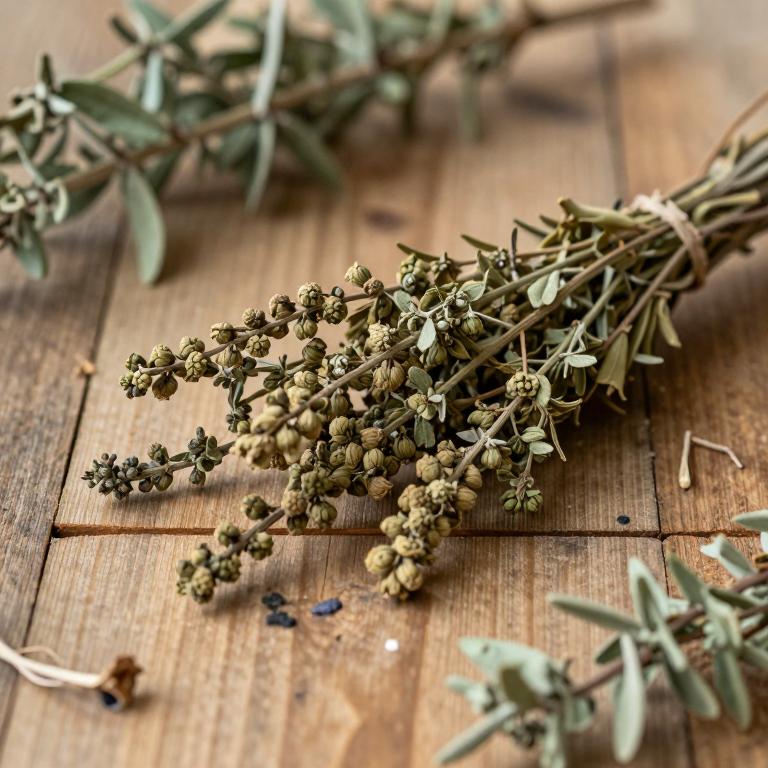 Melaleuca subulata
