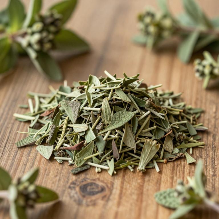 Mentha japonica