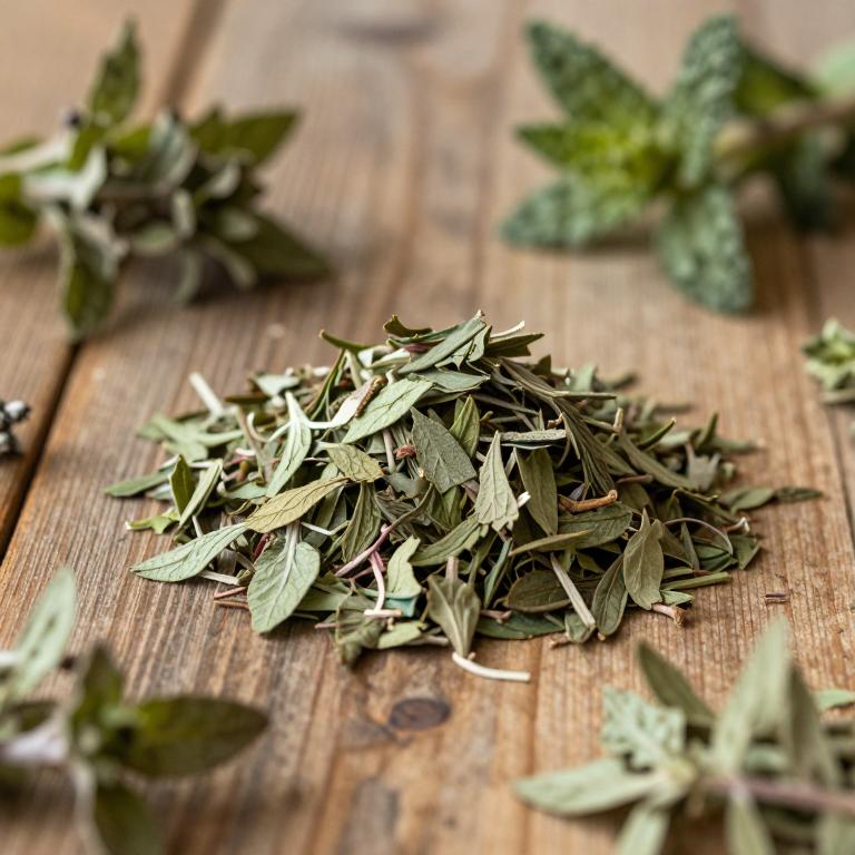 Mentha