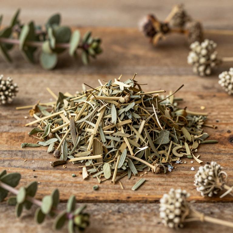 Micromyrtus