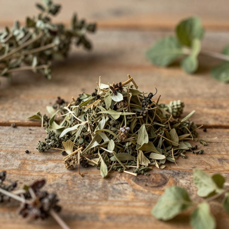 Moluccella