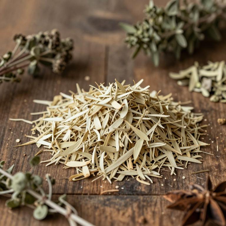 Mondia whitei