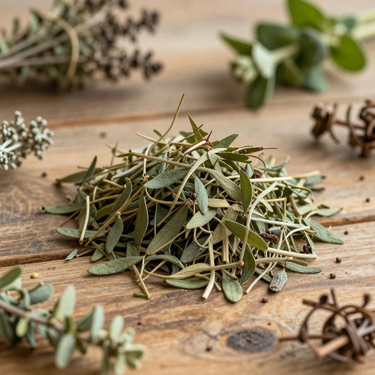 Myrsine parvifolia