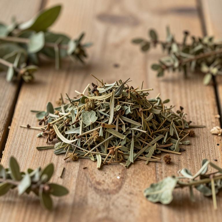 Nectandra membranacea