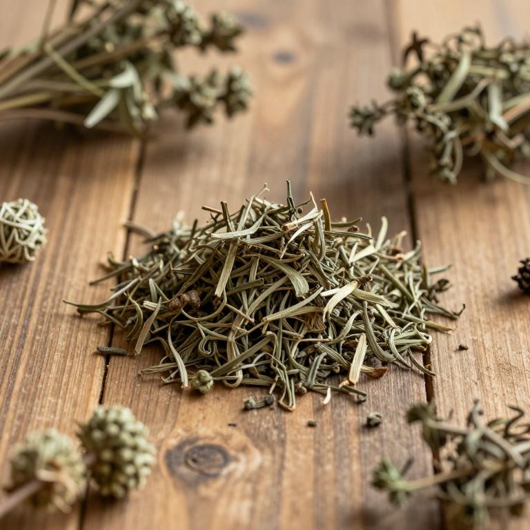 Ocotea