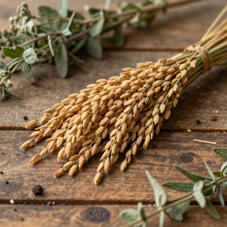 Oryza
