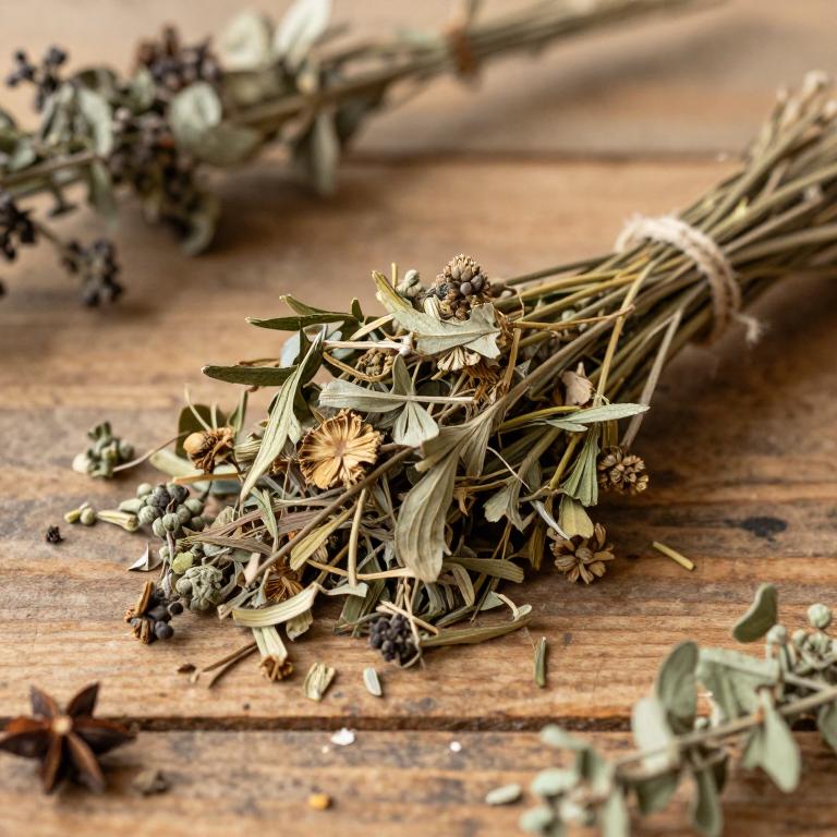 Osbeckia