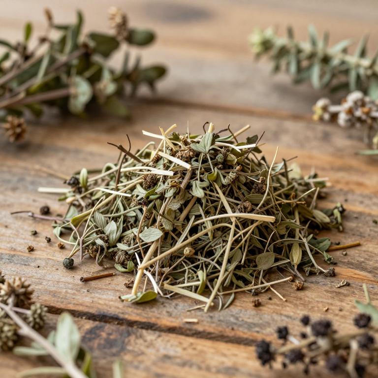 Panicum hemitomon
