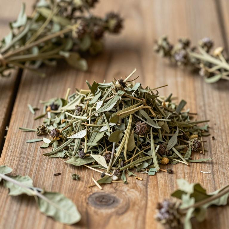 Parthenium