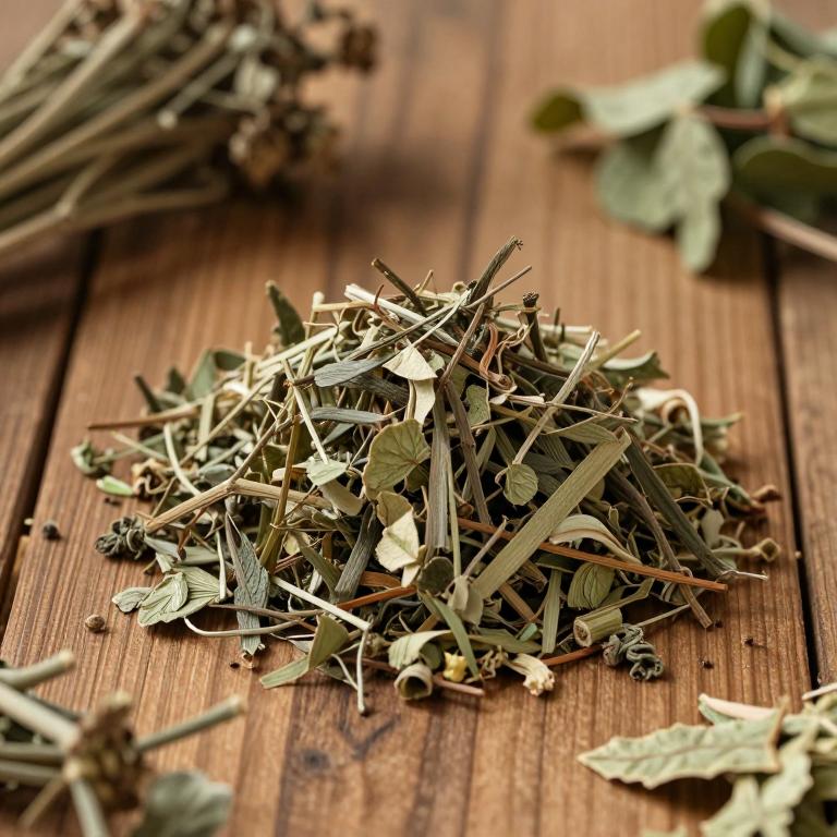 Peucedanum wulongense