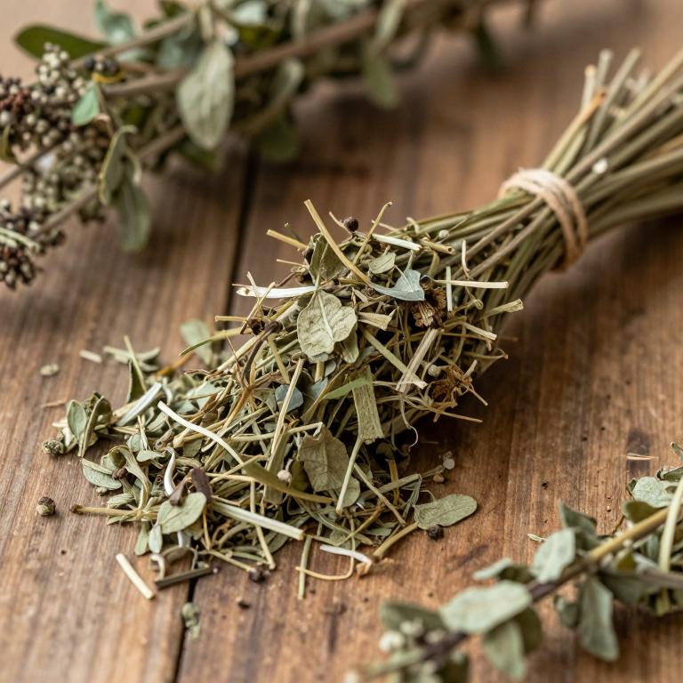 Peucedanum