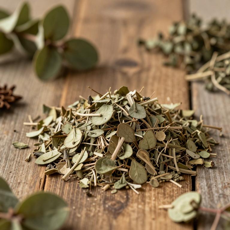 Phyllanthus chamaepeuce