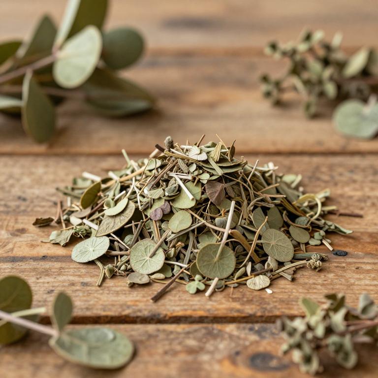 Phyllanthus poilanei