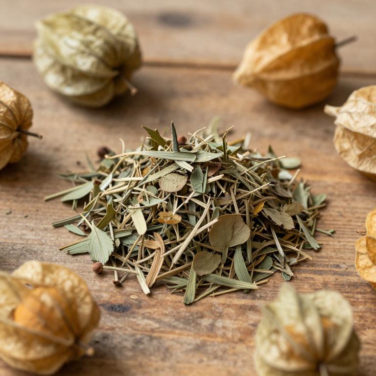 Physalis coztomatl