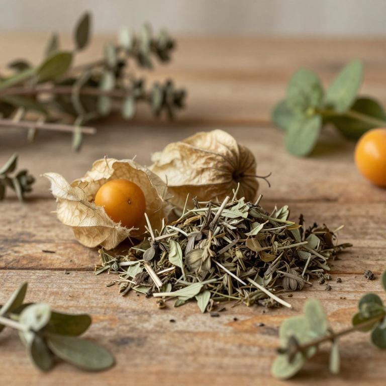 Physalis grisea