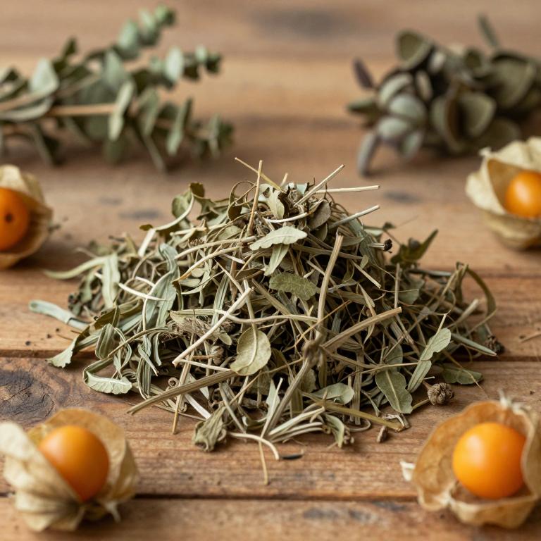 Physalis ixocarpa