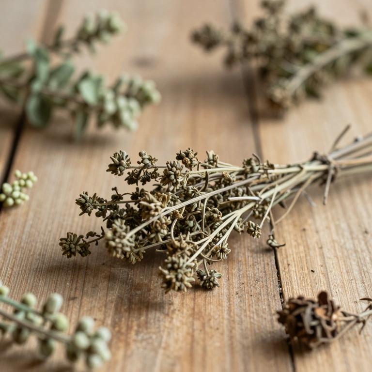 Pimelea ligustrina