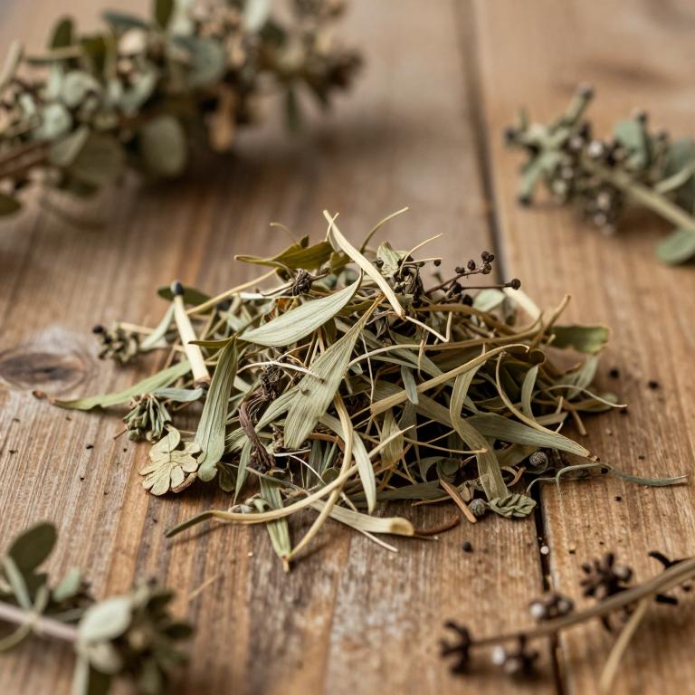Piparea spruceana