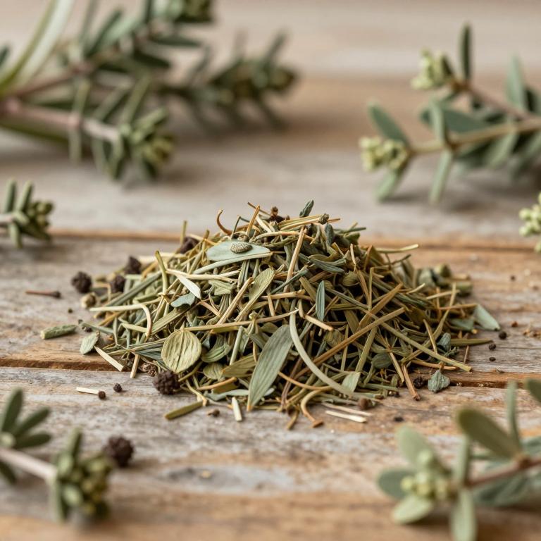 Pistacia atlantica