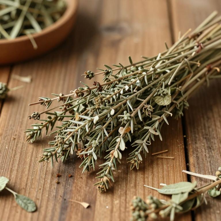 Podocarpus annamiensis