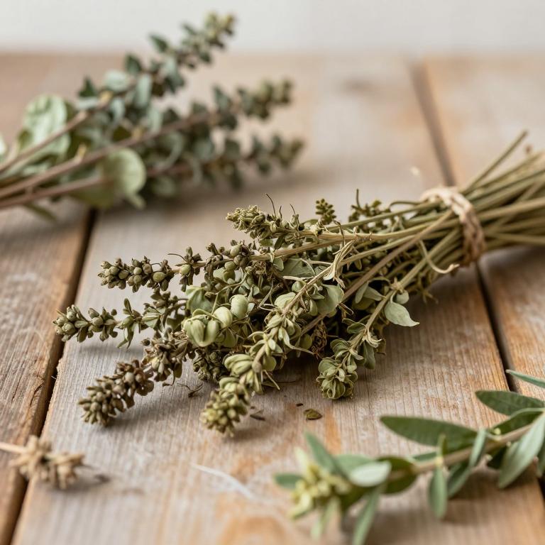 herbal Mexican Spinach