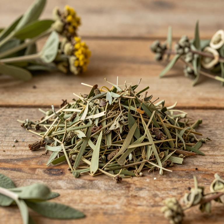 herbal Indian Echinacea