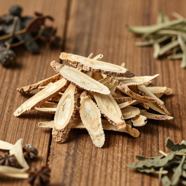herbal Chinese Angelica