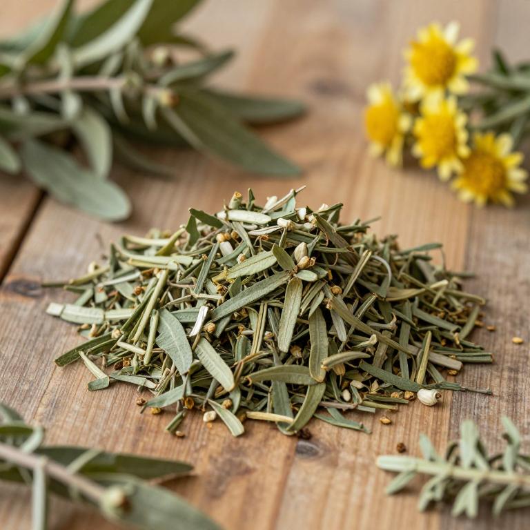 herbal Sweet Wormwood