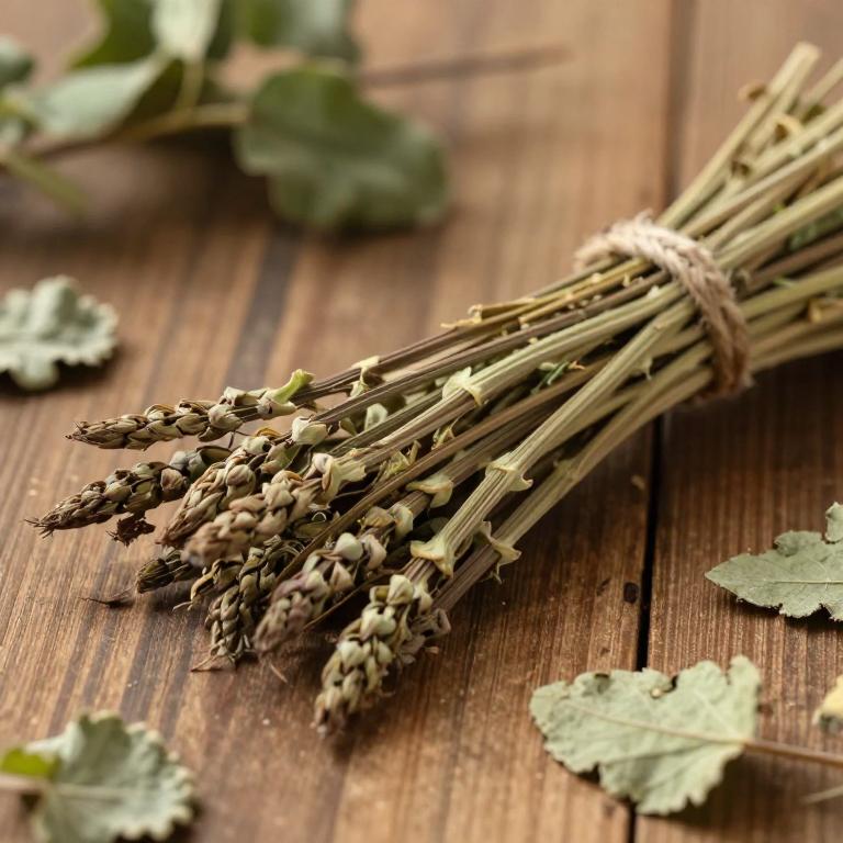 herbal Chinese Asparagus