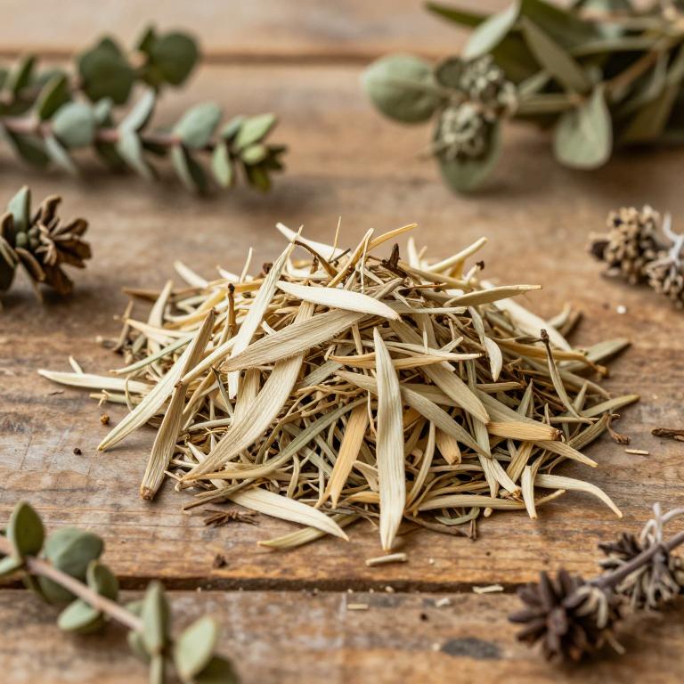 herbal Quebracho Blanco