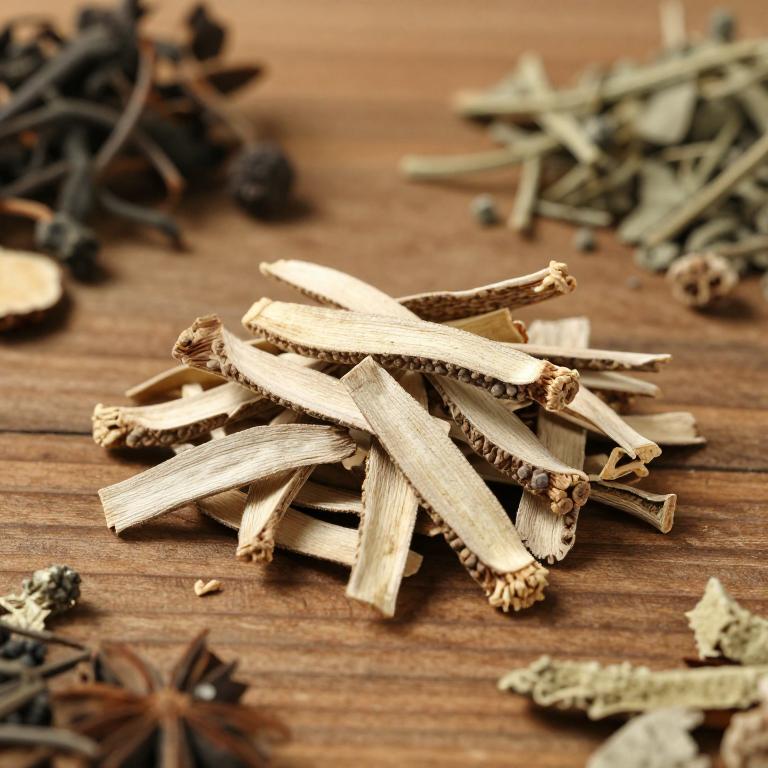 herbal Chinese Atractylodes